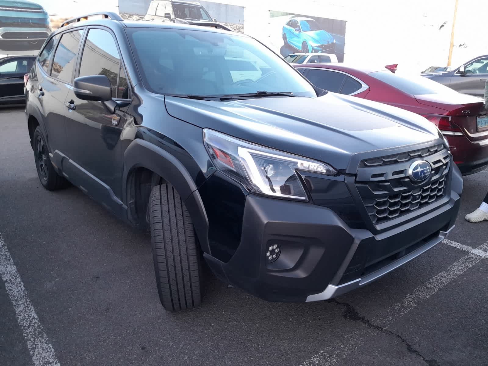 2023 Subaru Forester Wilderness's photo