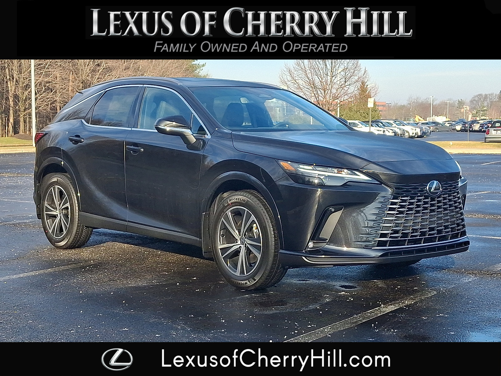 2026 Lexus RX Hybrid 350h's photo