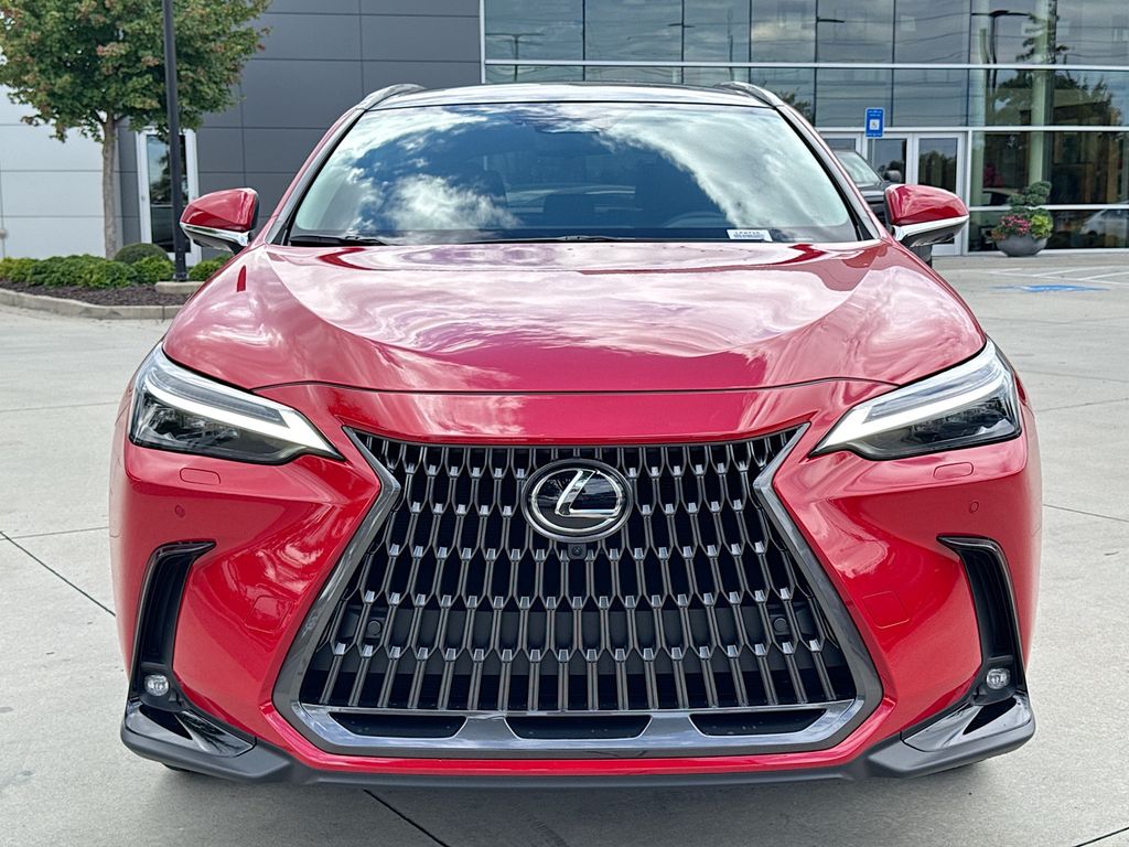 2025 Lexus NX 350 Luxury photo 3