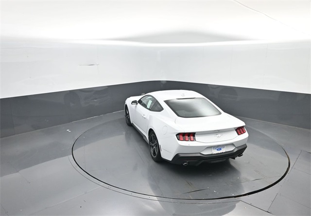 2025 Ford Mustang EcoBoost photo 20