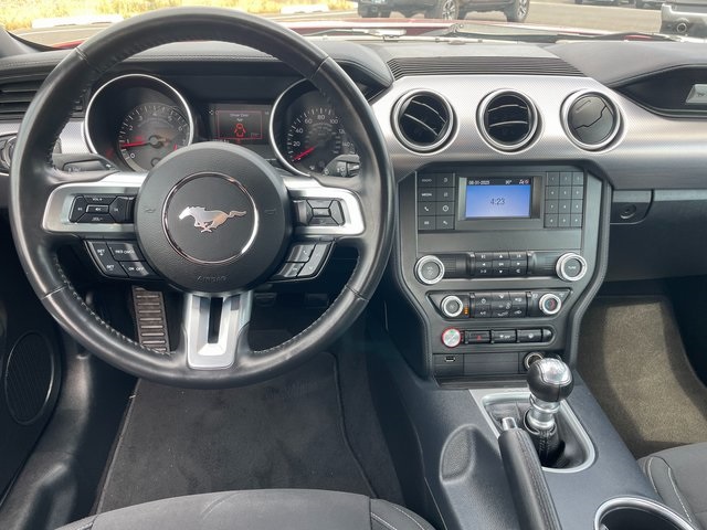 2021 Ford Mustang GT photo 3