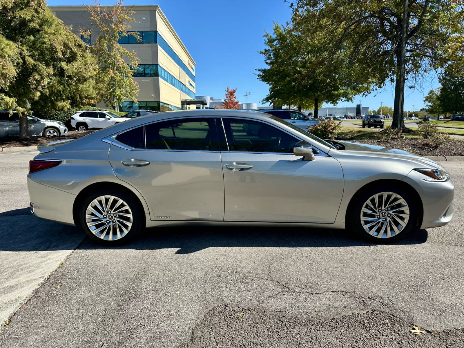 2019 Lexus ES Luxury photo 4