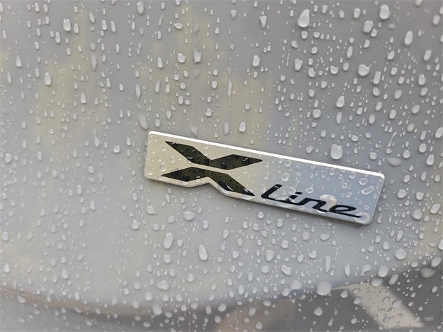 2024 Kia Telluride EX X-Line photo 4