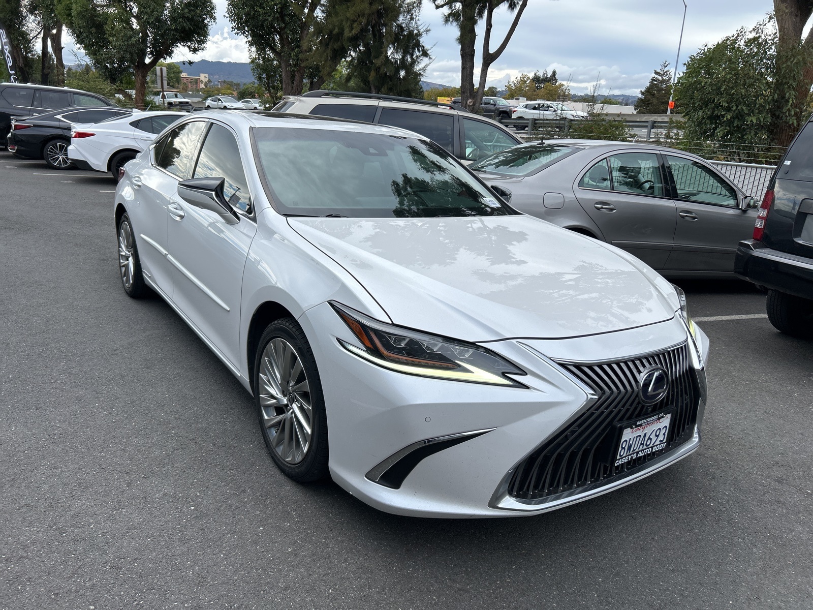 2021 Lexus ES 300h Luxury photo 2