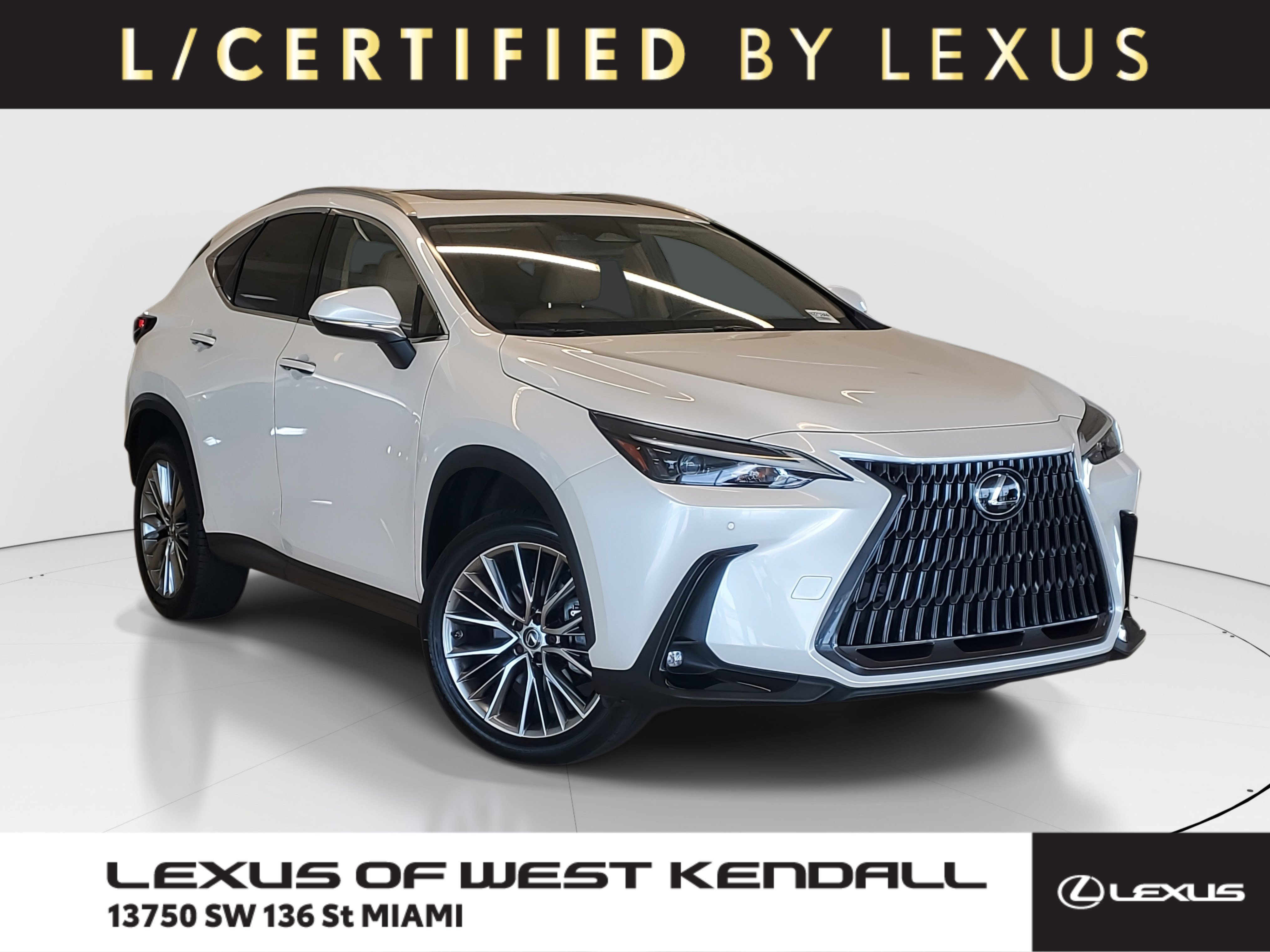 2023 Lexus NX Hybrid 350h's photo