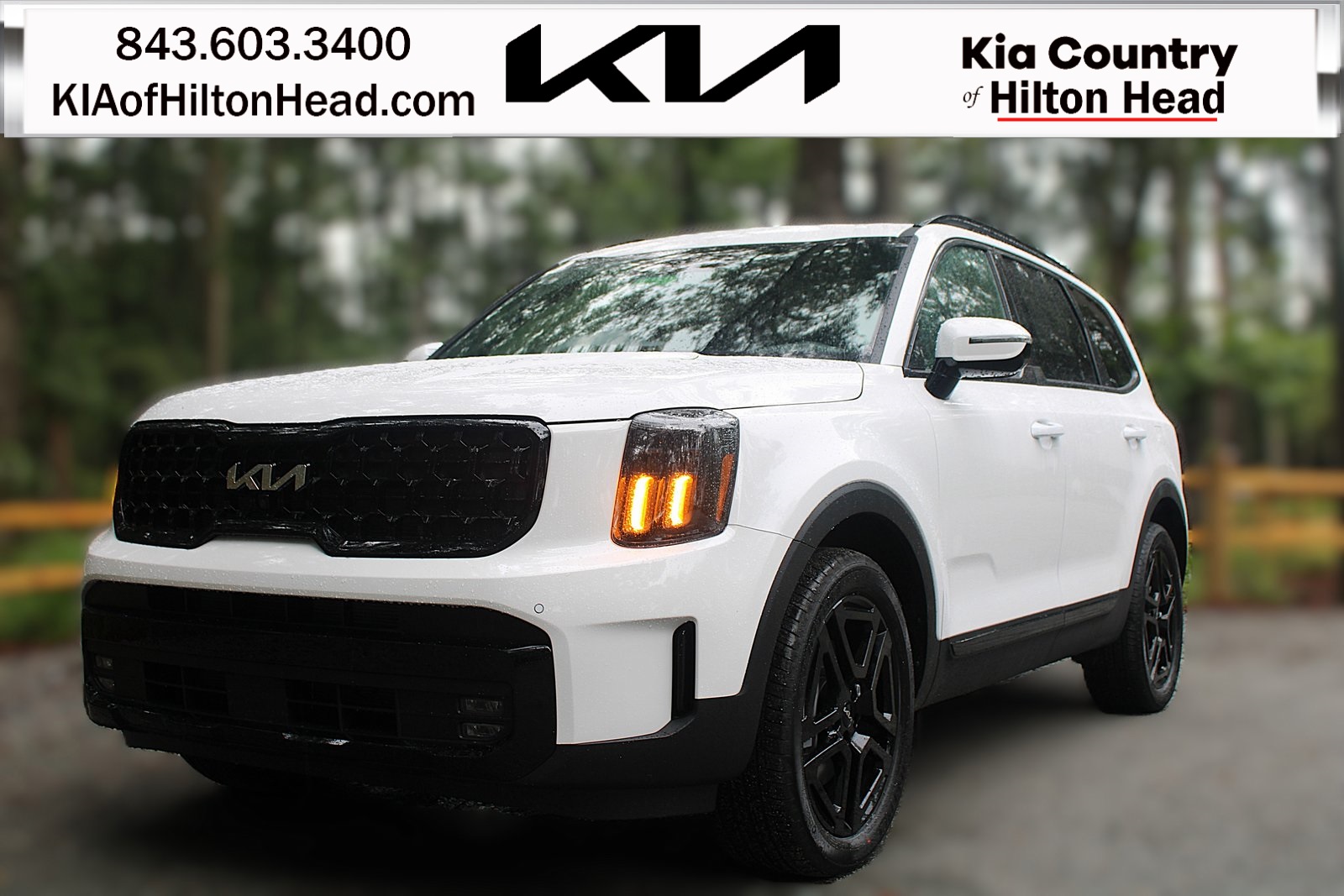 2025 Kia Telluride SX Prestige X-Line's photo