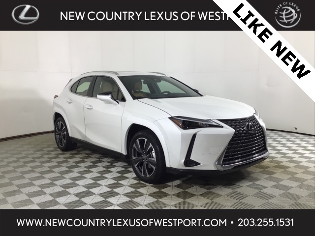 2025 Lexus UX Hybrid 300h Premium's photo