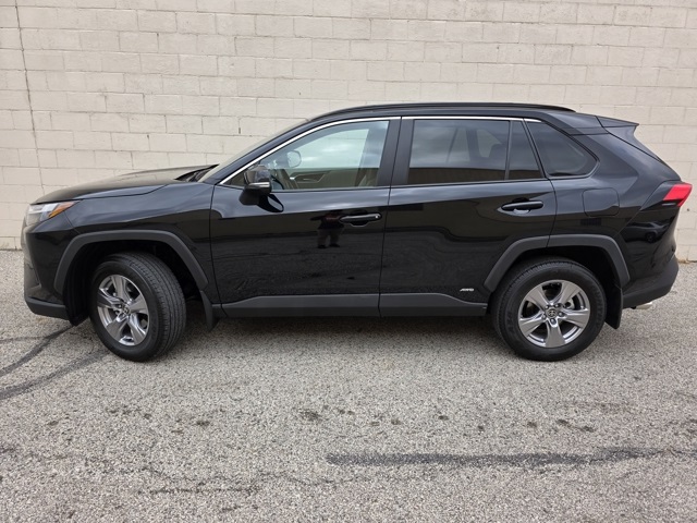 2025 Toyota RAV4 Hybrid XLE photo 2