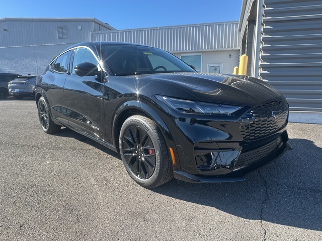 2025 Ford Mustang Mach-E Premium RWD's photo