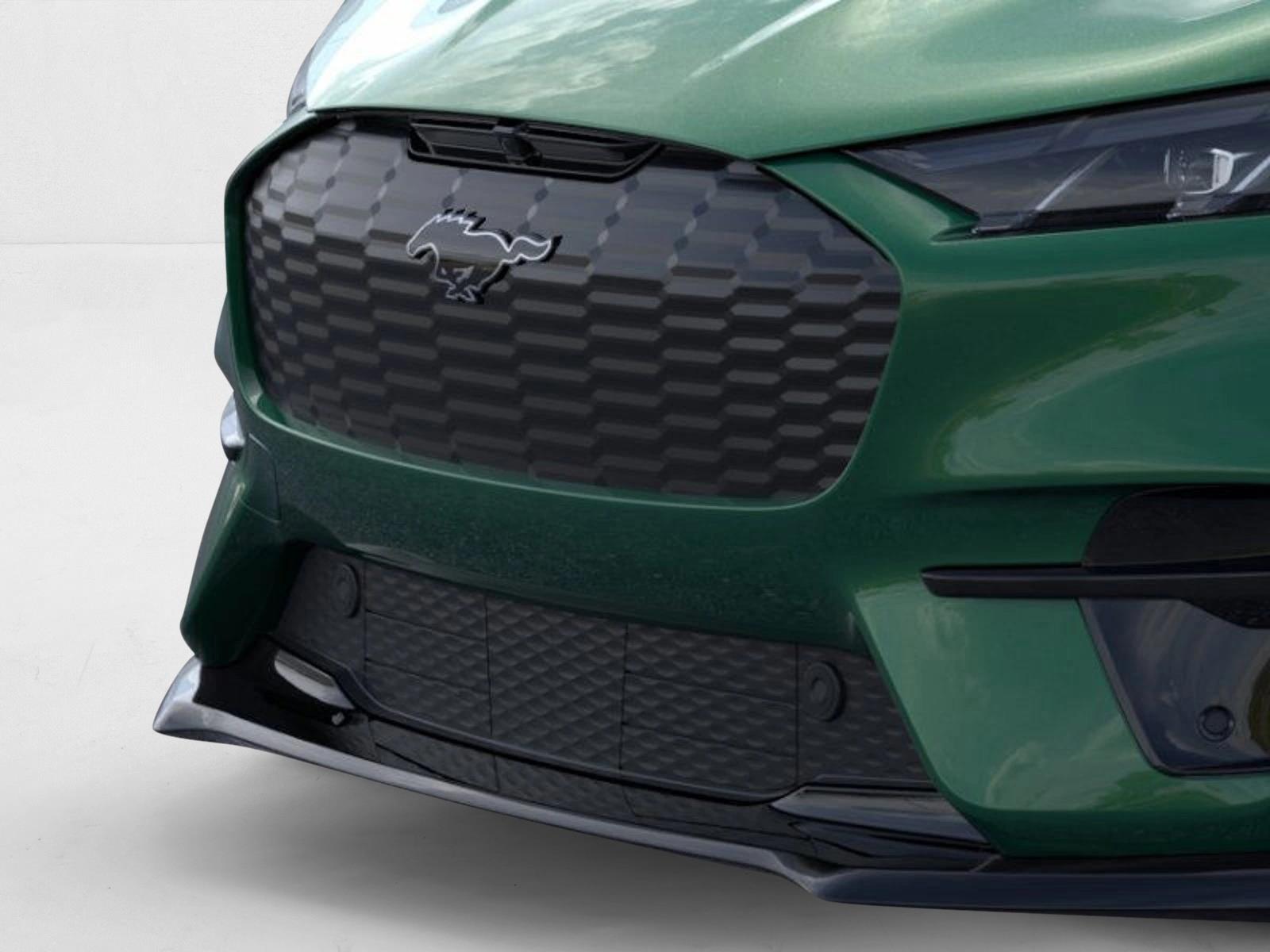 2025 Ford Mustang Mach-E GT photo 15