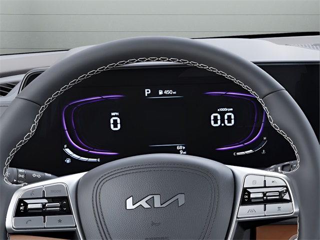 2025 Kia Telluride EX X-Line photo 10