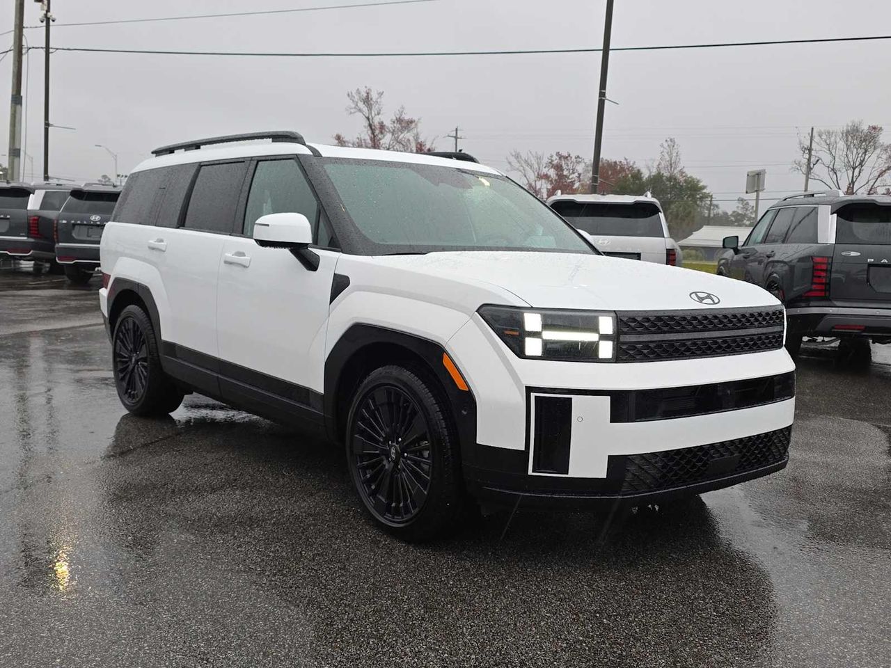 2025 Hyundai Santa Fe Calligraphy's photo