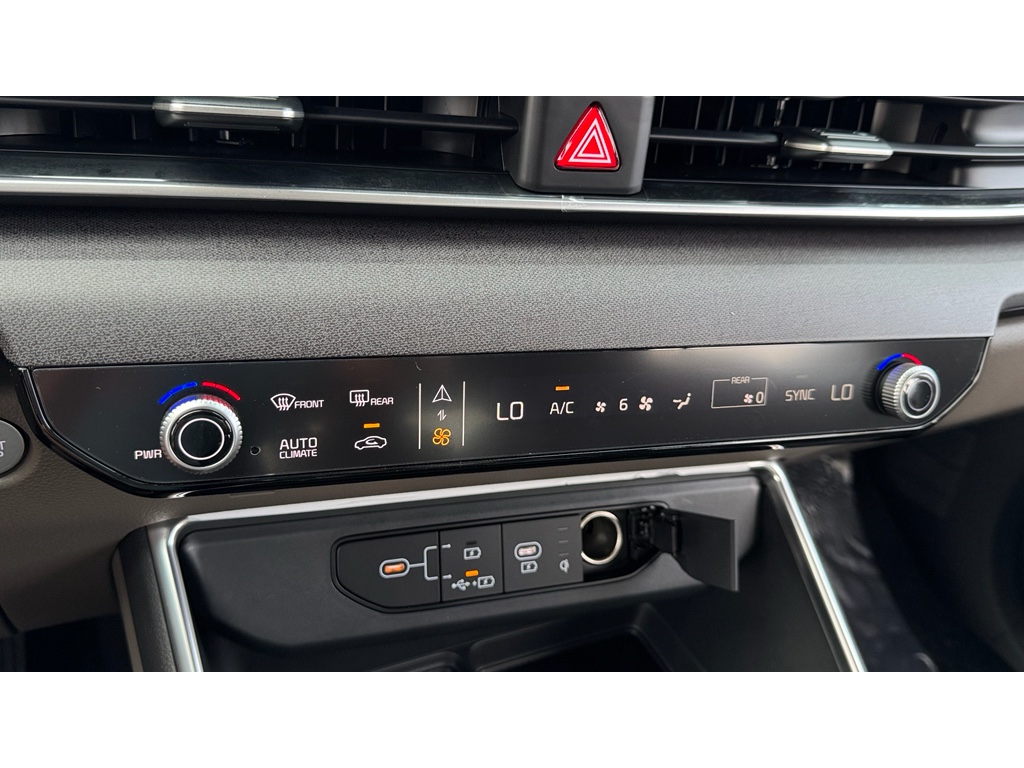 2026 Kia Carnival SX Prestige photo 16
