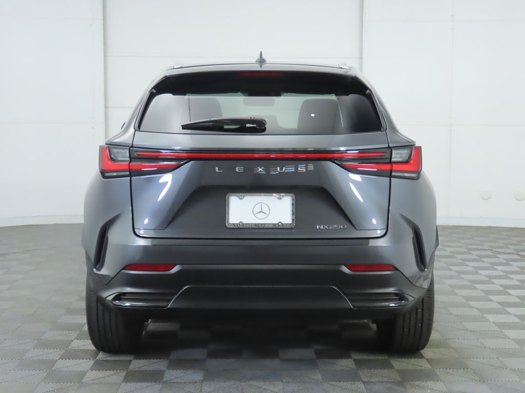 2024 Lexus NX 250 photo 4