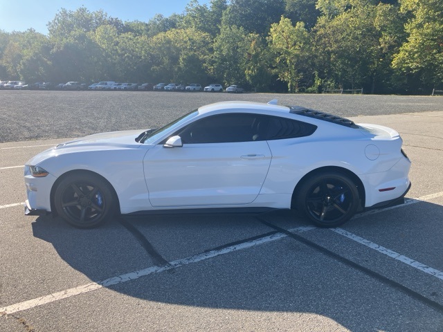 2020 Ford Mustang EcoBoost photo 8