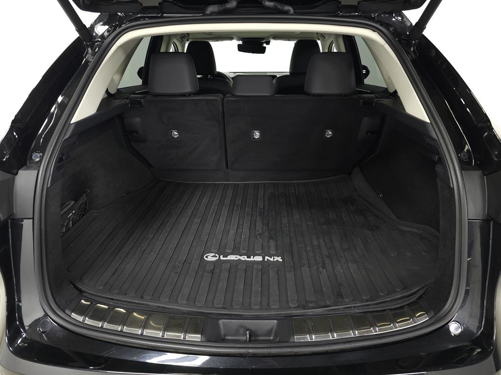2023 Lexus NX Premium photo 6