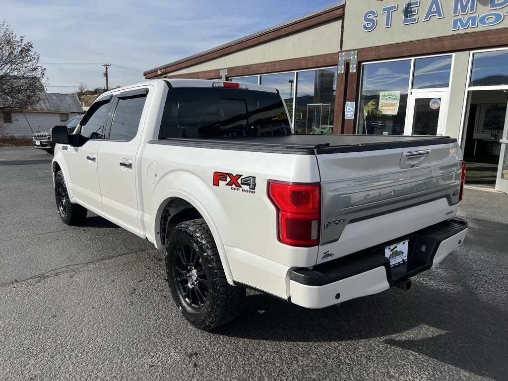 2018 Ford F-150 Platinum photo 3