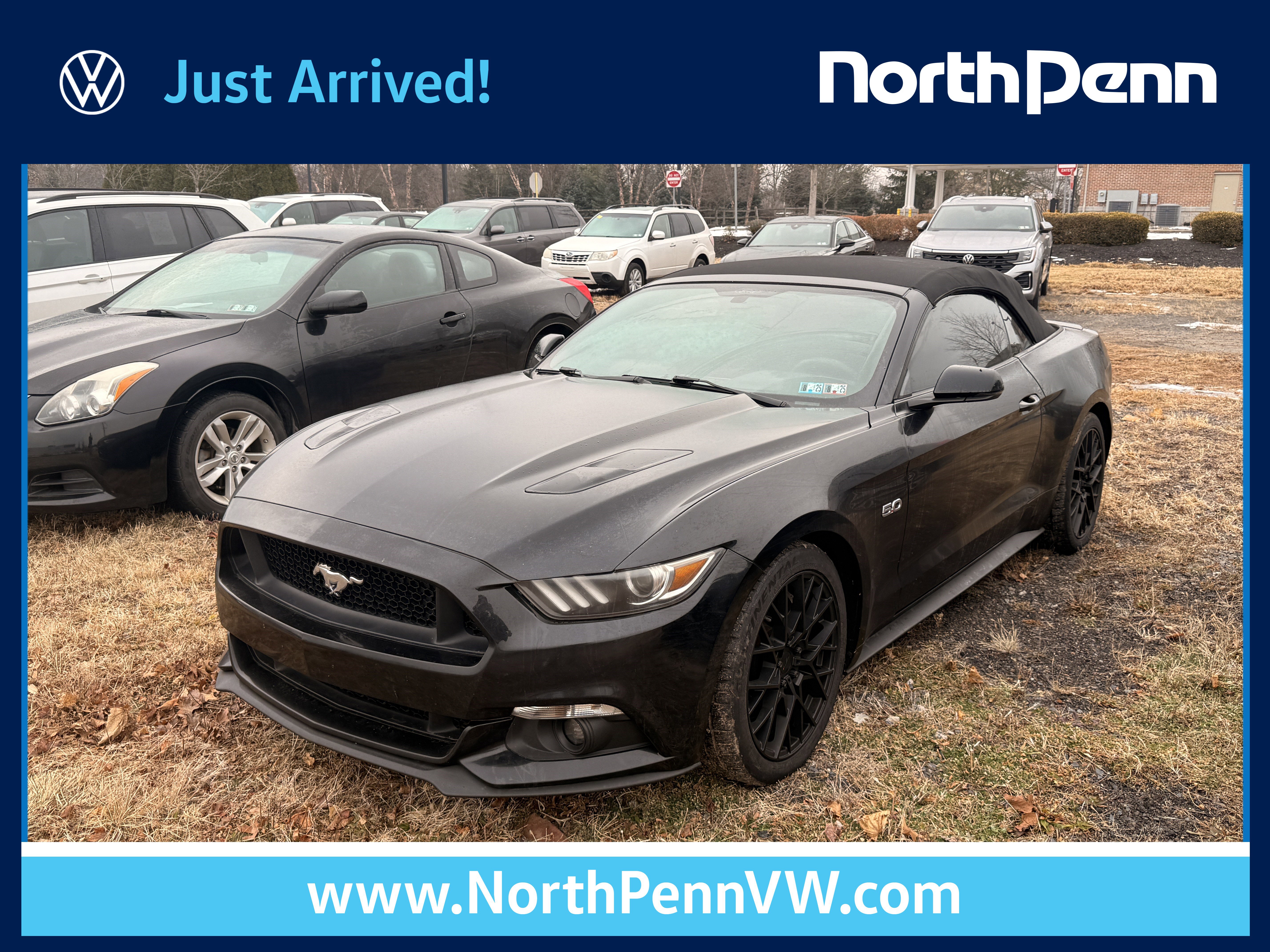 2015 Ford Mustang GT Premium's photo