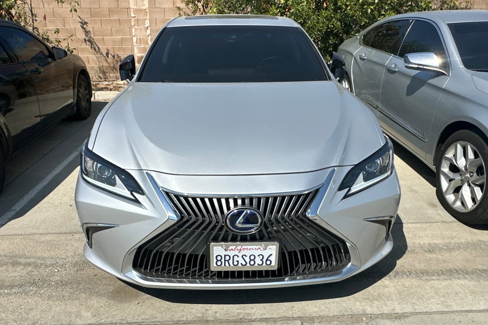 2020 Lexus ES 300h photo 7