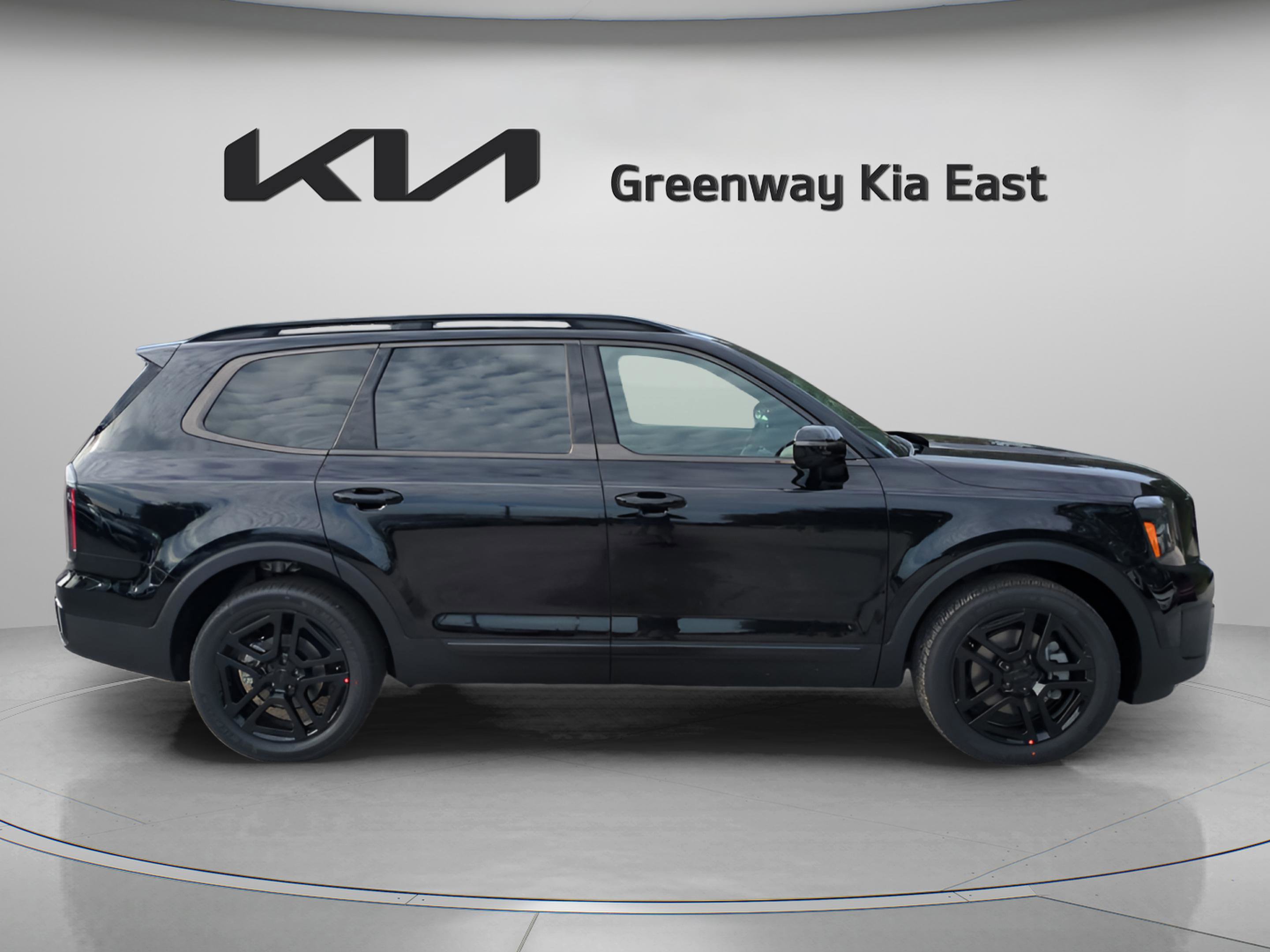 2025 Kia Telluride SX X-Line photo 4