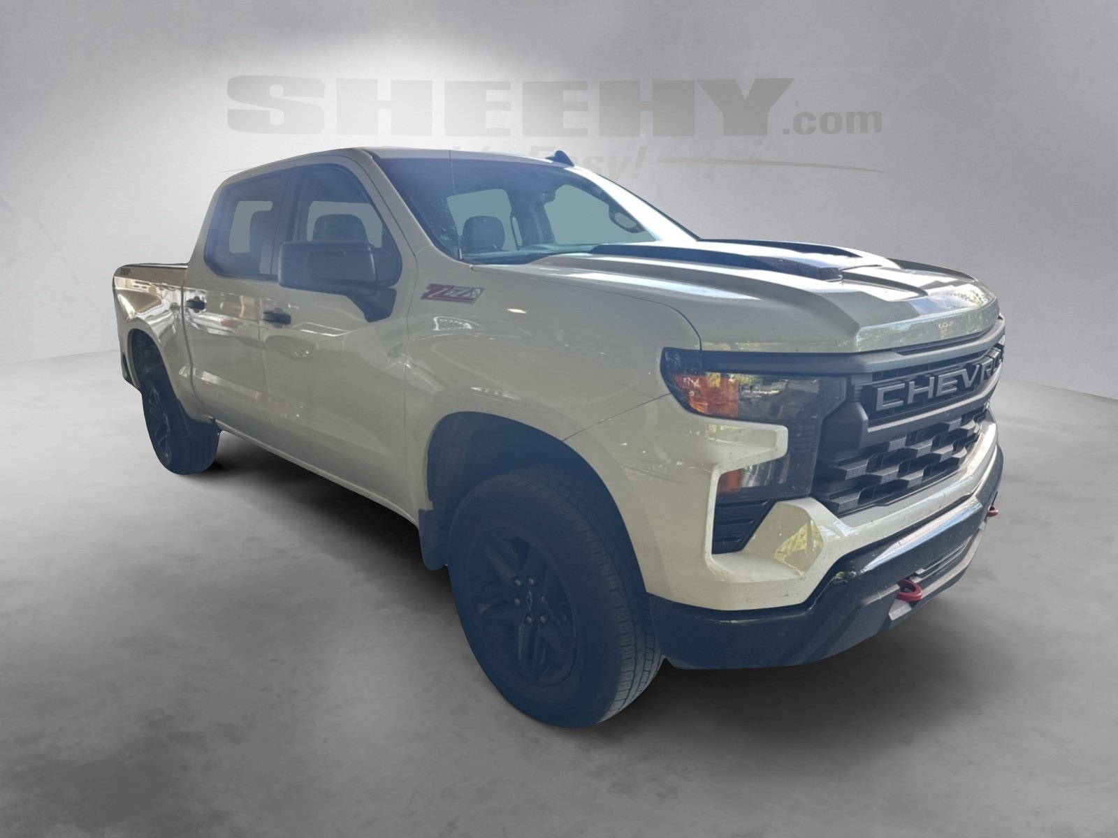 2022 Chevrolet Silverado 1500 Custom Trail Boss photo 2