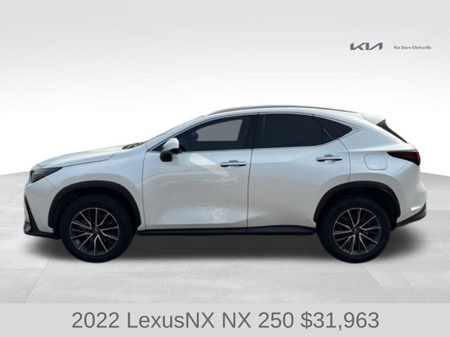 2022 Lexus NX 250 photo 4