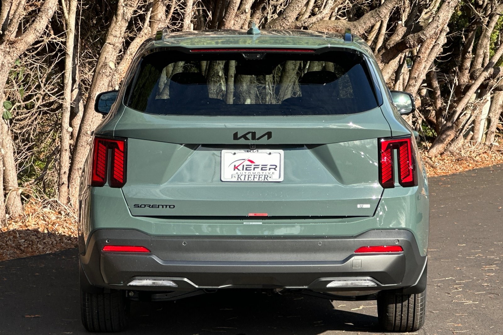 2026 Kia Sorento Hybrid X-Line SX Prestige photo 4