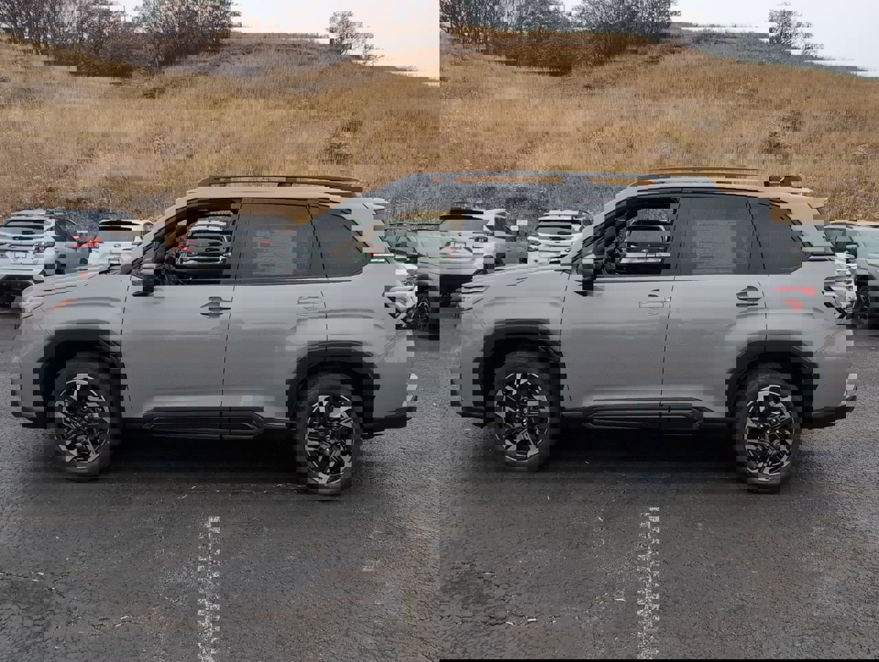 2025 Subaru Forester Limited photo 3