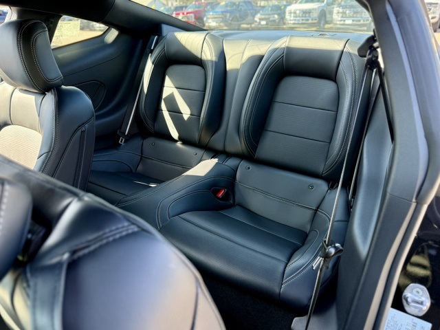2025 Ford Mustang GT Premium photo 23