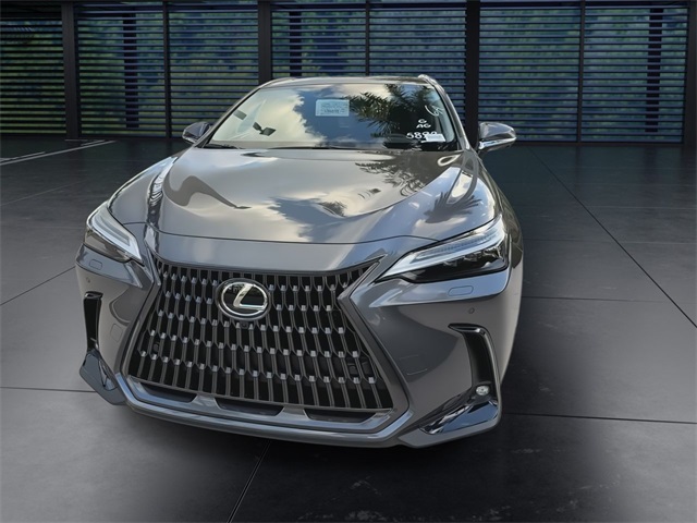2025 Lexus NX 450h+ Luxury AWD photo 3