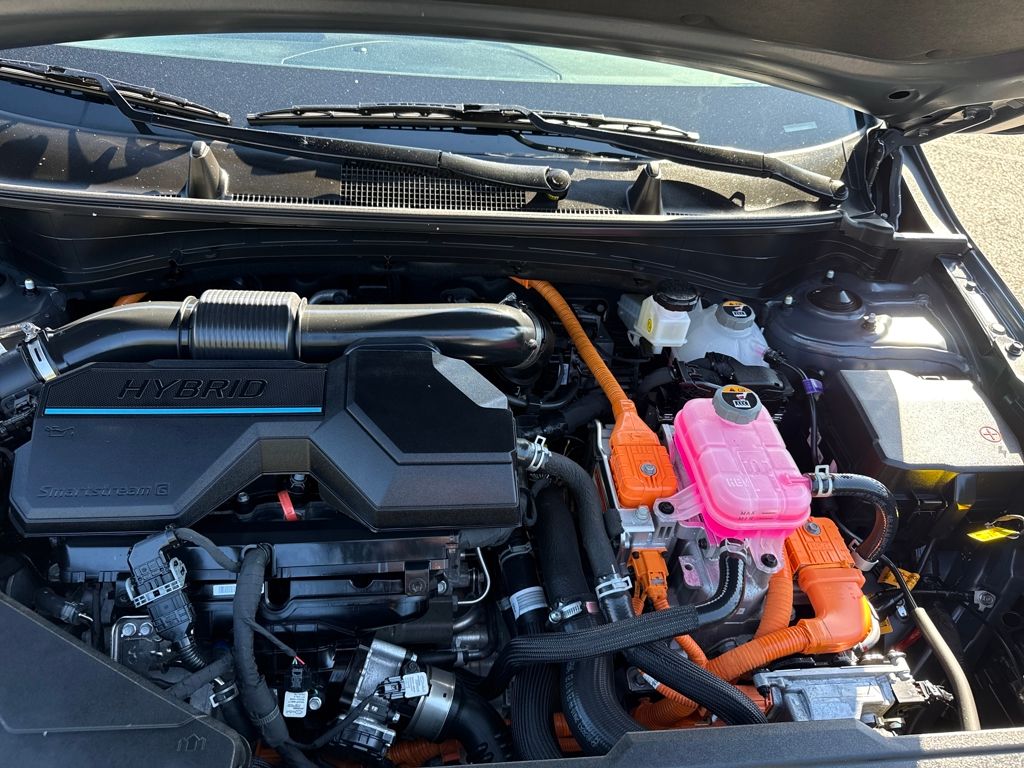 2023 Kia Sportage Hybrid LX photo 19