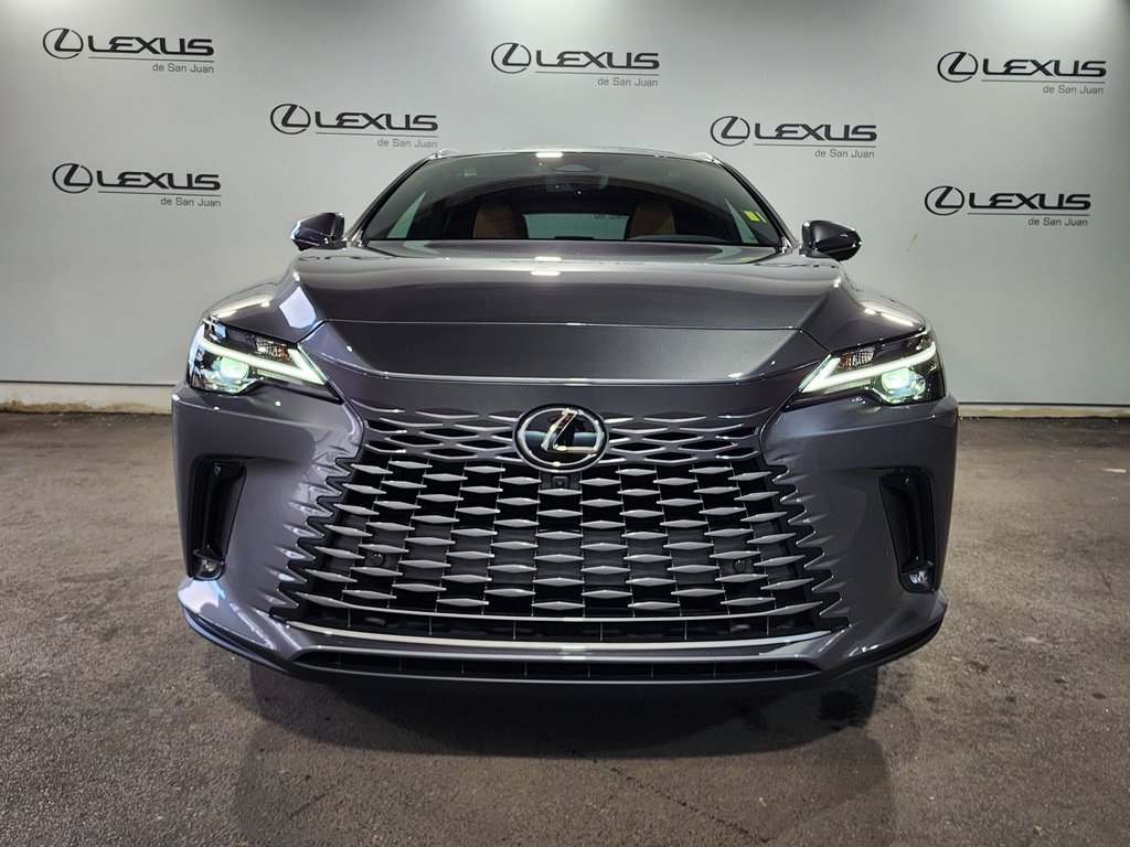 2025 Lexus RX 350 photo 6