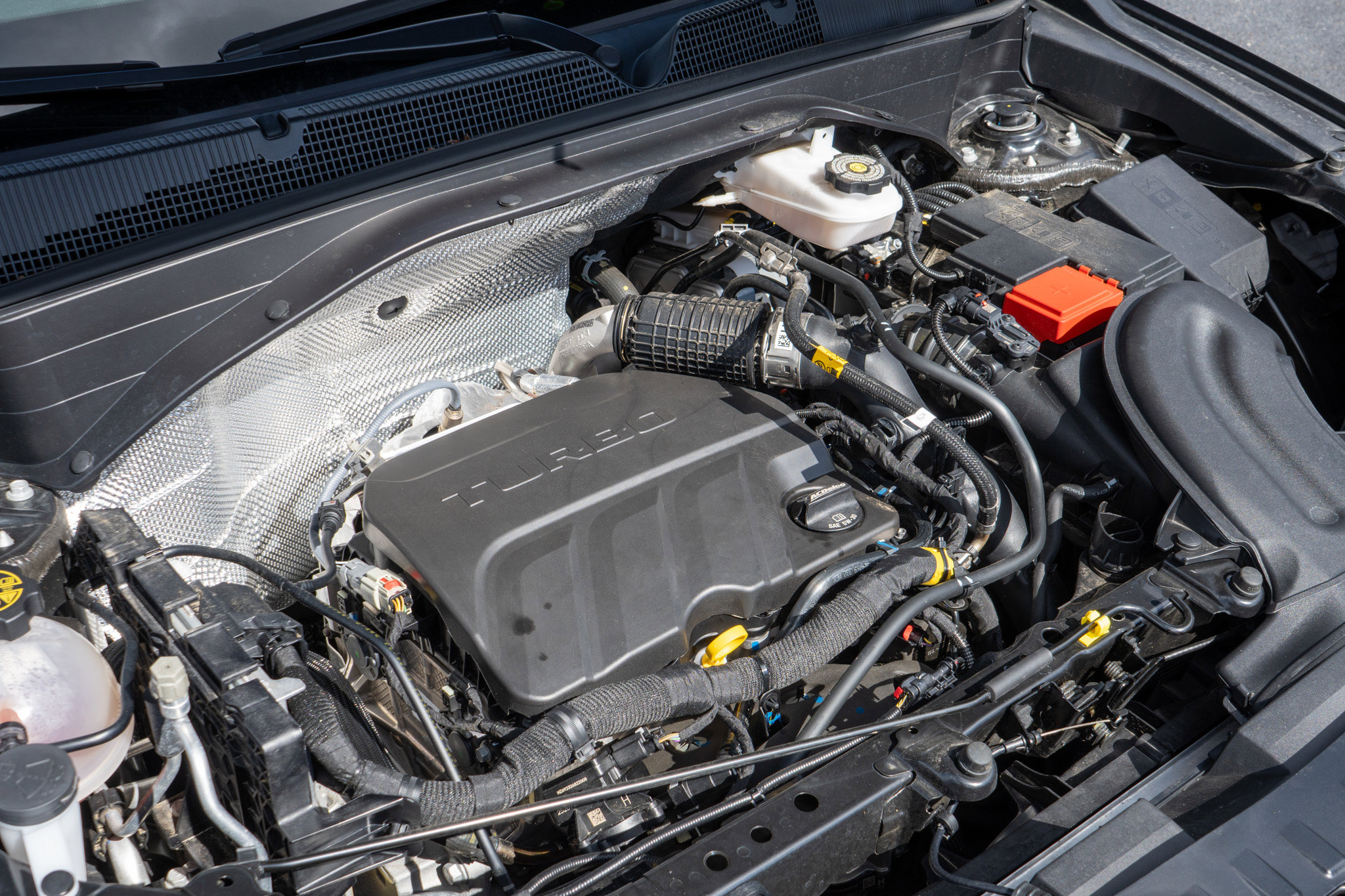 2024 Chevrolet Trailblazer LT photo 19