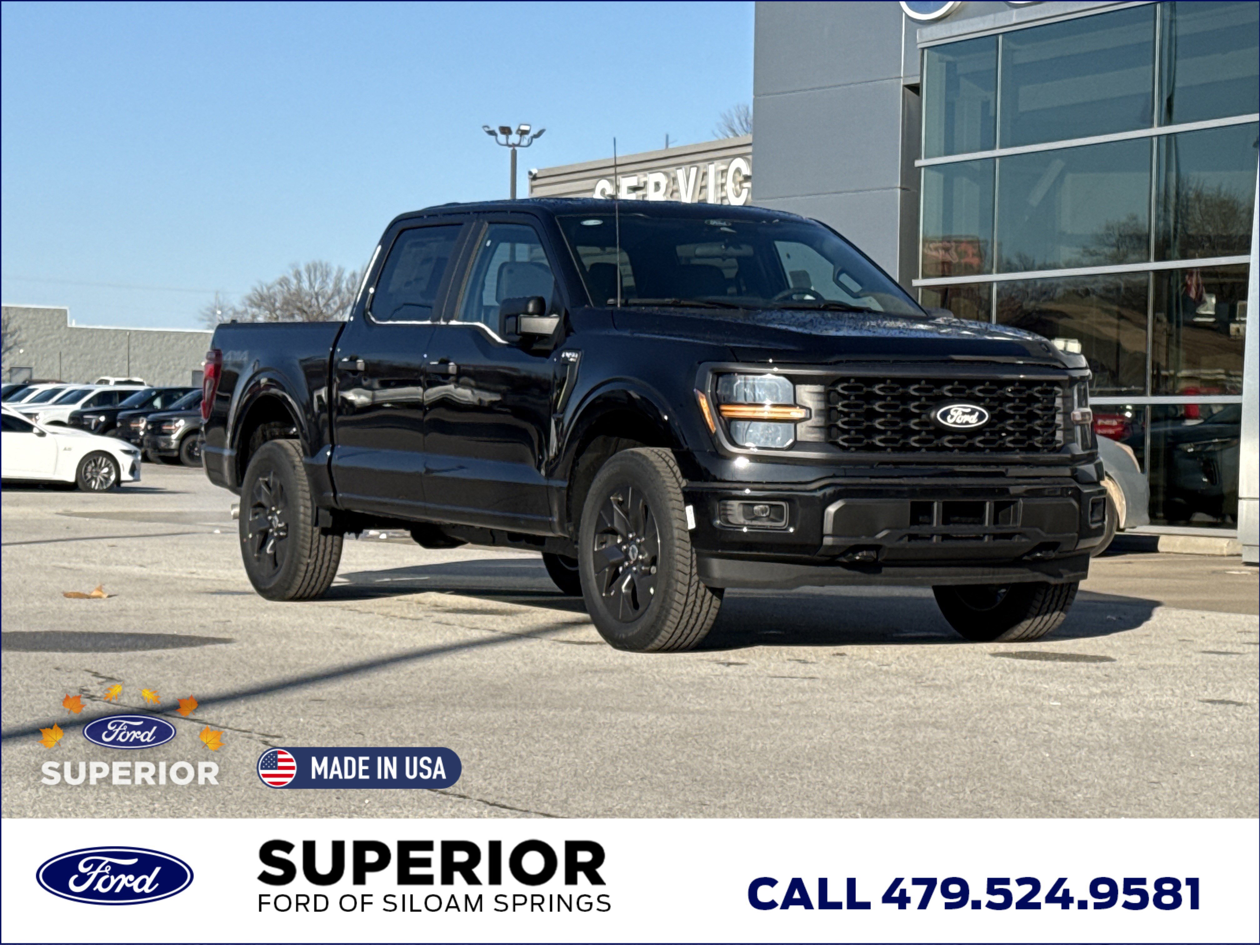 2025 Ford F-150 STX's photo