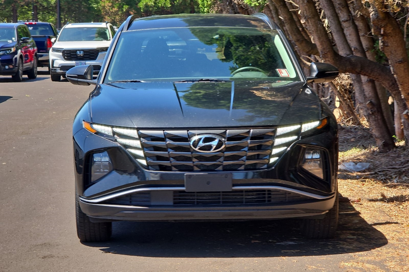 2022 Hyundai Tucson SEL photo 8