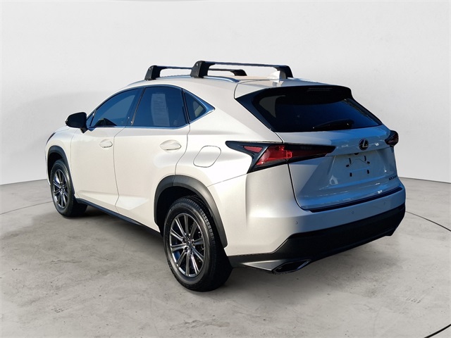 2019 Lexus NX 300 Luxury photo 3