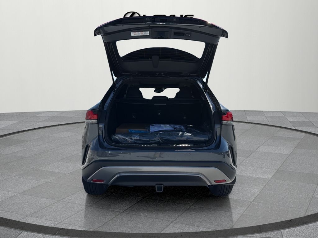 2025 Lexus RX 350 Luxury photo 14