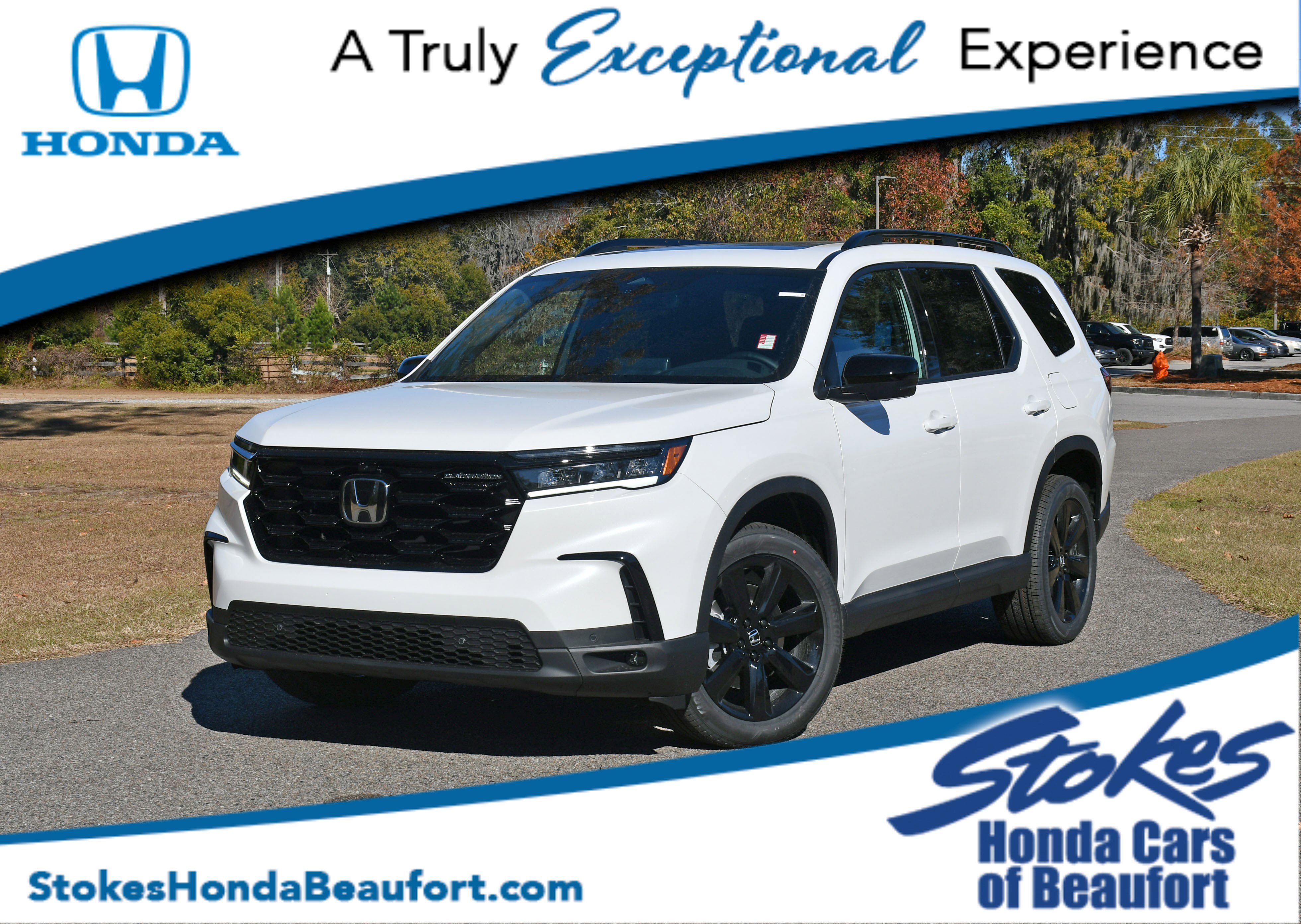 2025 Honda Pilot Black Edition's photo