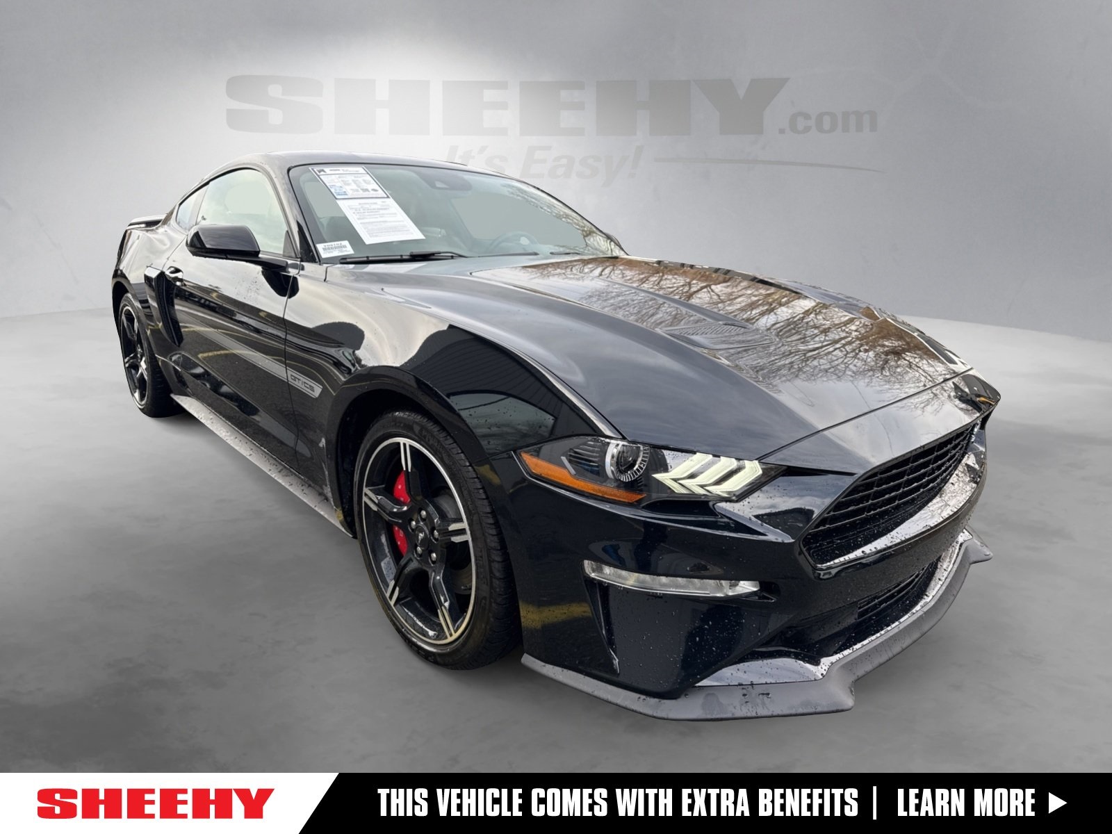 2019 Ford Mustang GT's photo