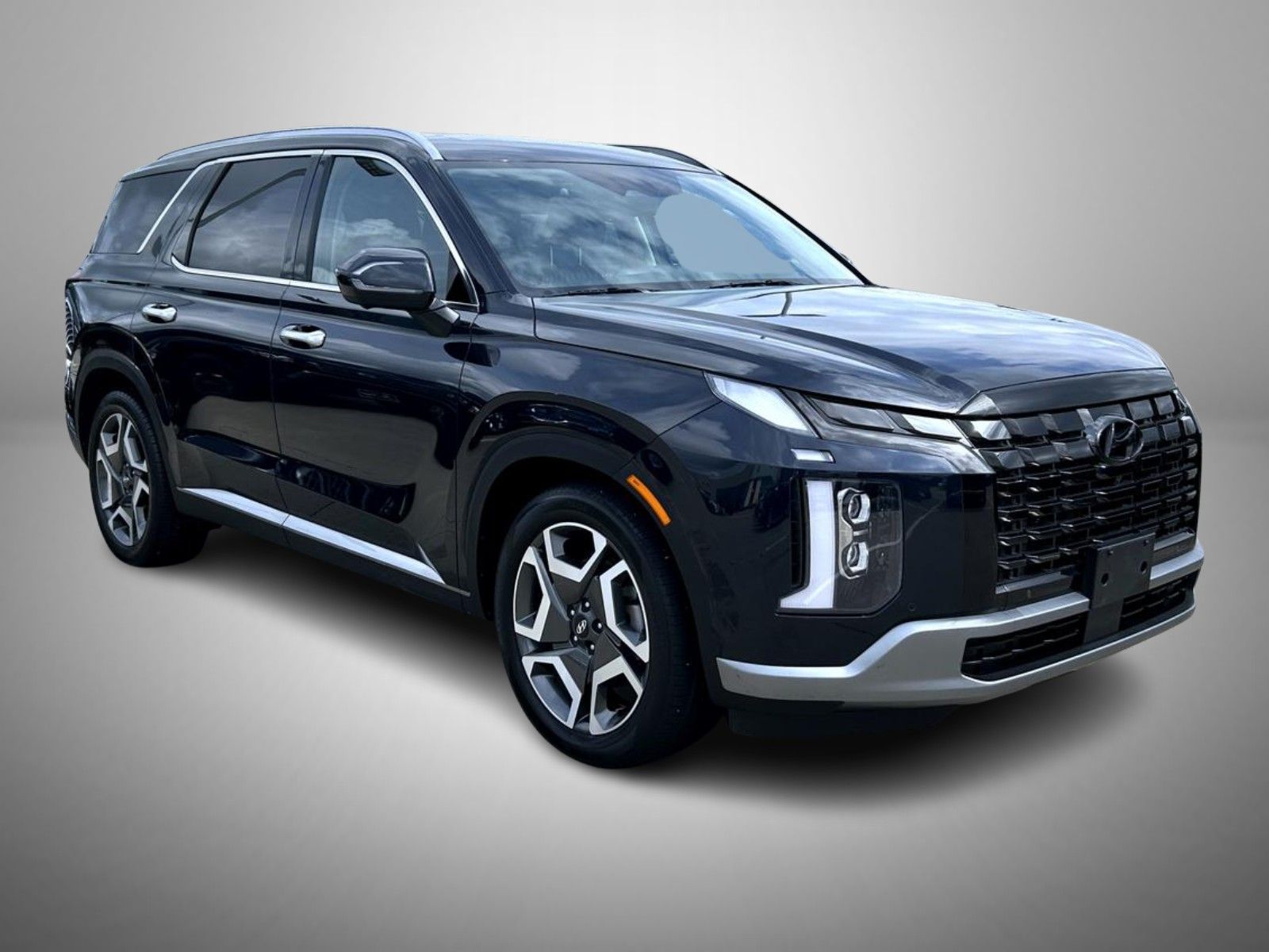 2023 Hyundai Palisade Limited photo 3