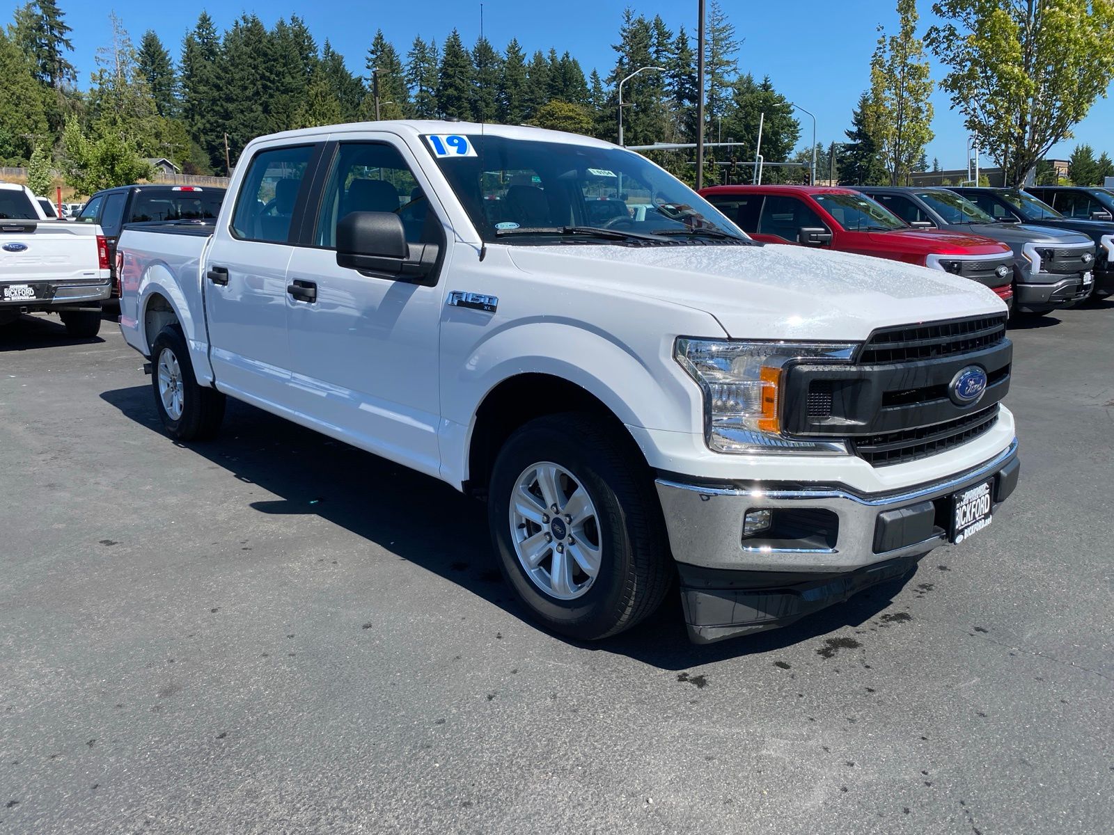 2019 Ford F-150 XL photo 3