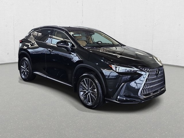 2024 Lexus NX 350 Premium photo 3