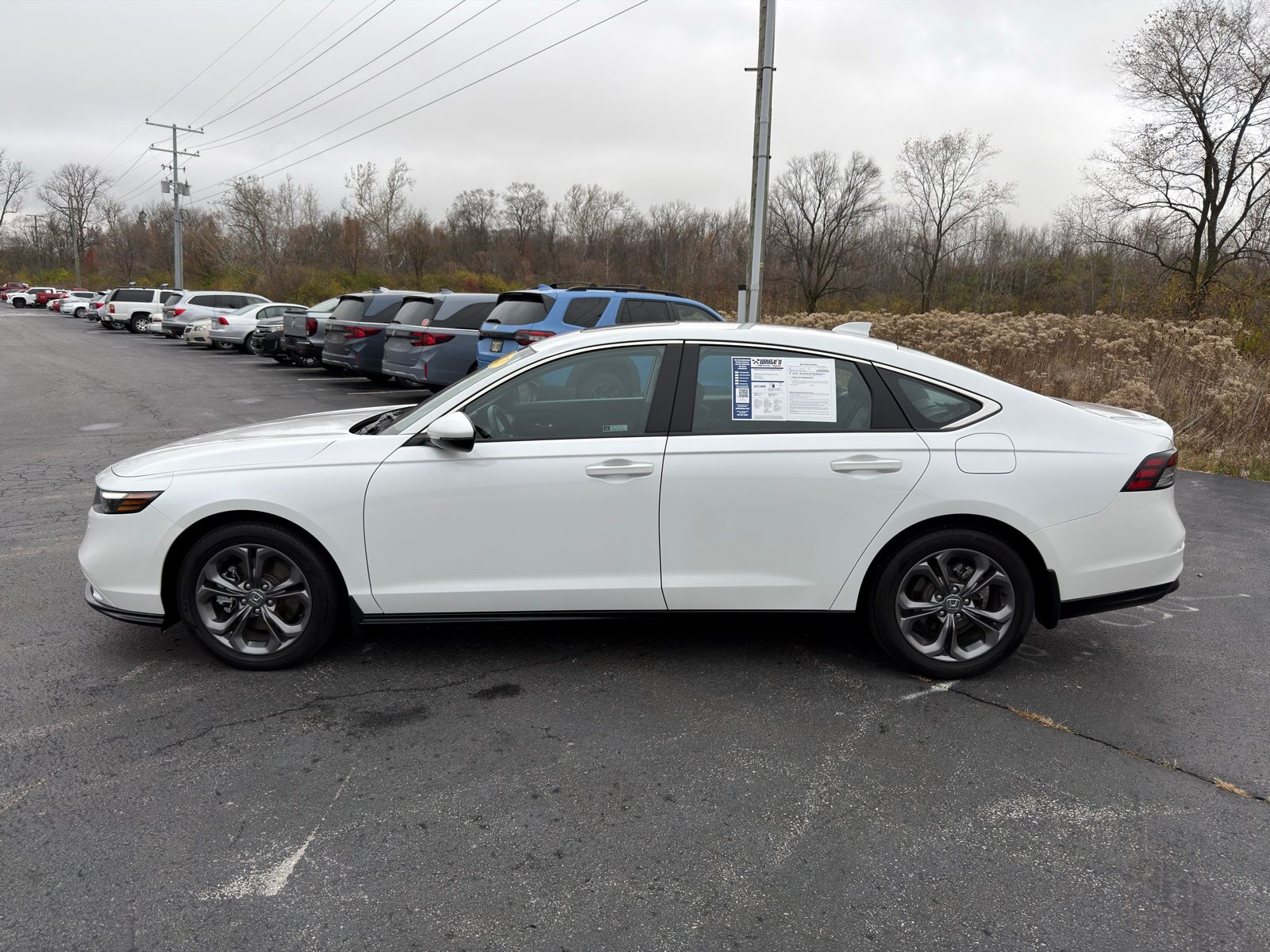 2023 Honda Accord Hybrid EX-L photo 3