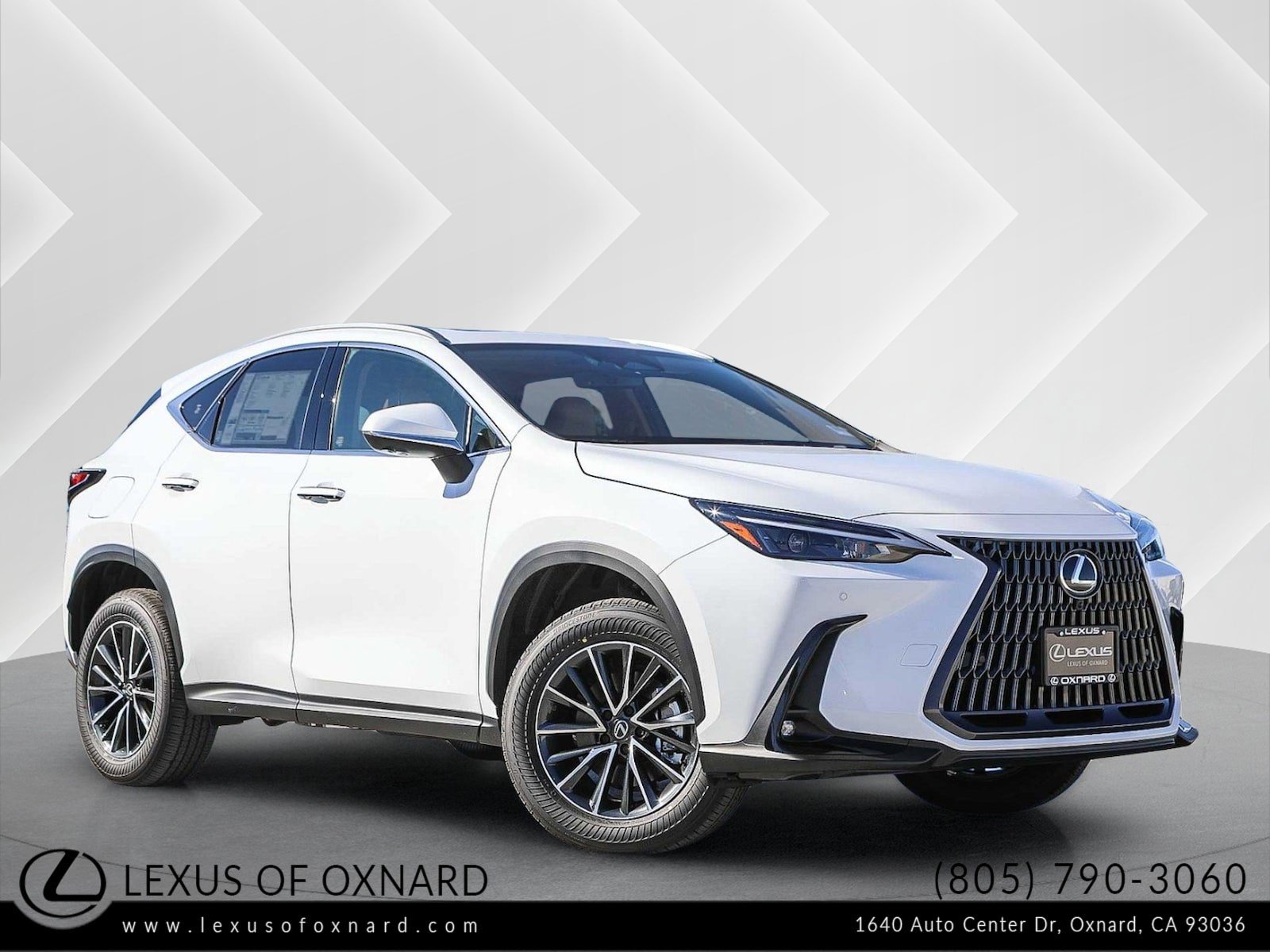 2026 Lexus NX PHEV 450h+'s photo