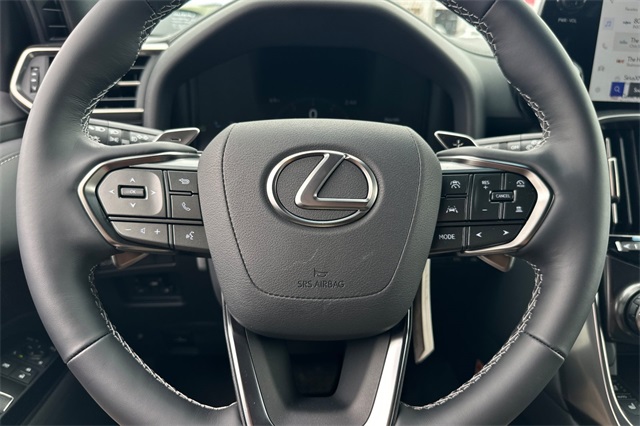 2025 Lexus LX photo 19