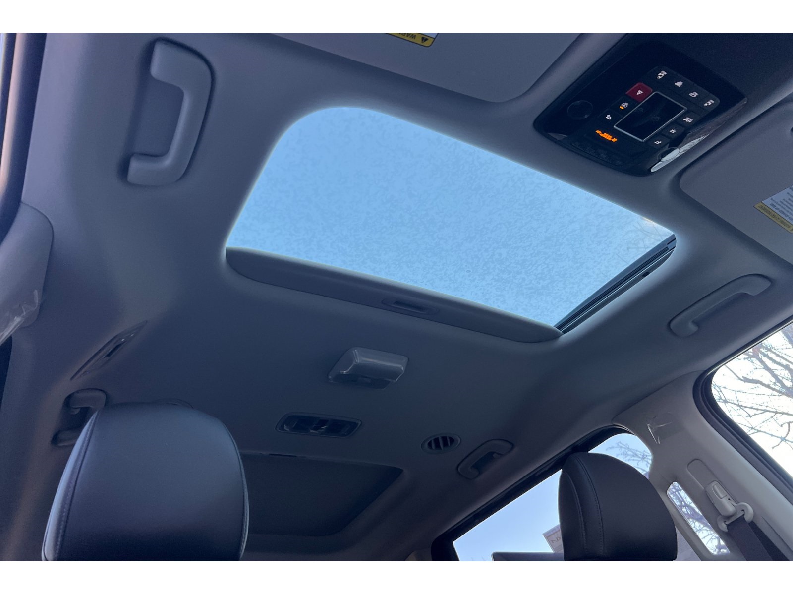 2025 Kia Carnival SX photo 17