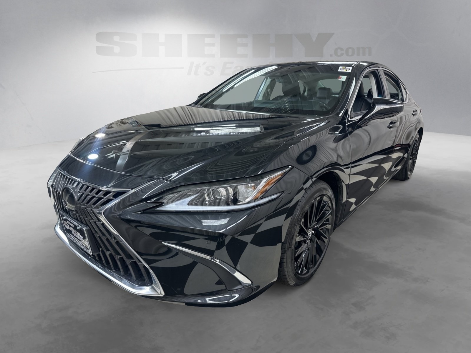 2024 Lexus ES 300h Luxury photo 2