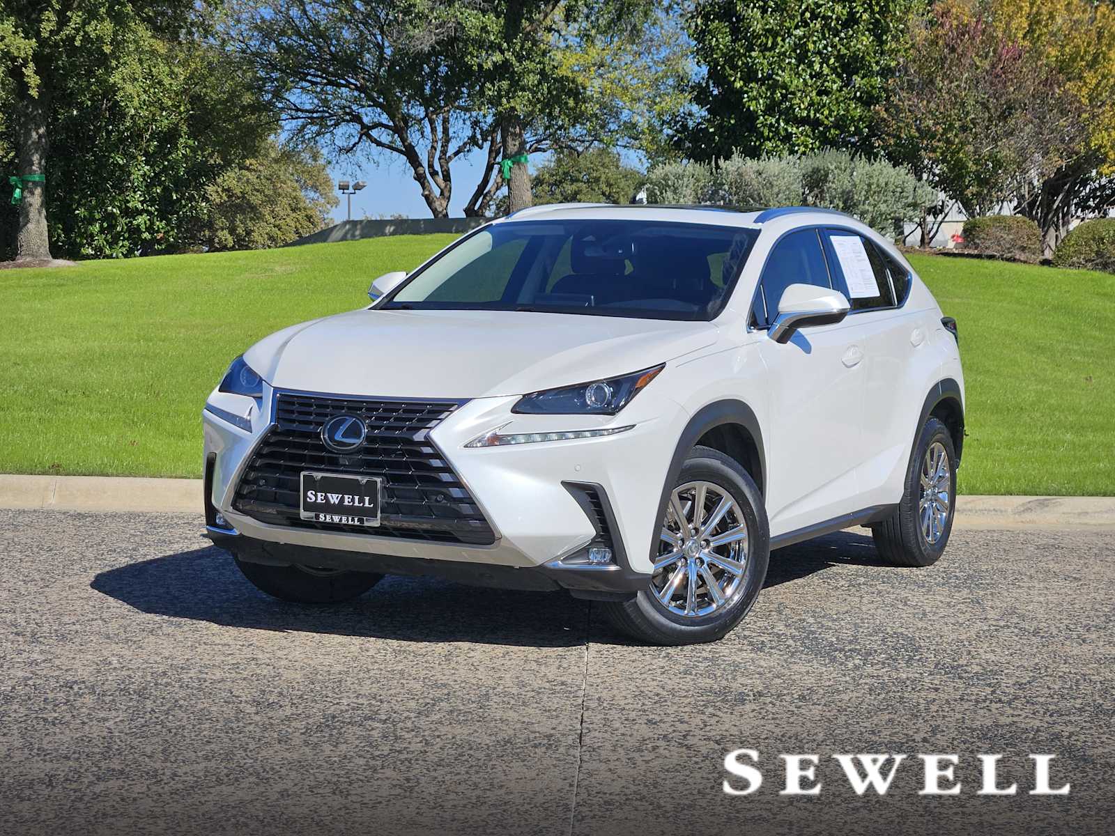 2021 Lexus NX 300's photo