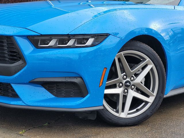 2024 Ford Mustang EcoBoost Premium photo 3