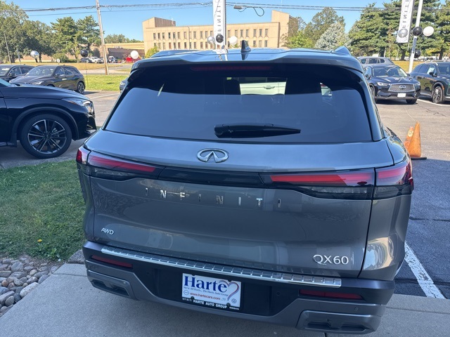 2022 Infiniti QX60 Luxe photo 3